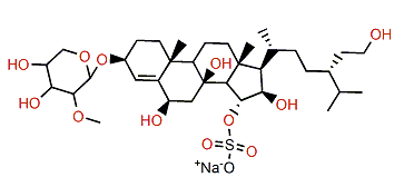 Echinasteroside B